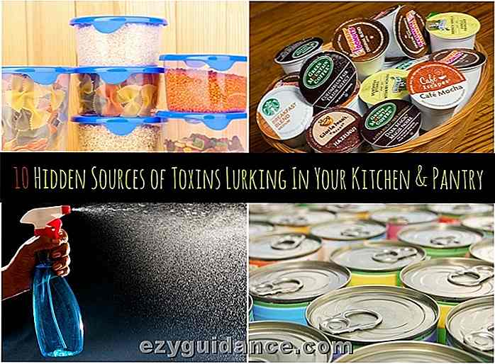 10 verborgene Quellen von Giftstoffen, die in Ihrer Küche & Speisekammer lauern