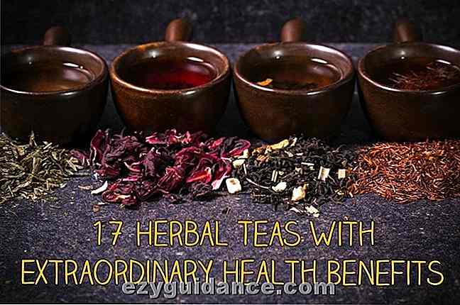 17 tés de hierbas con beneficios extraordinarios para la salud