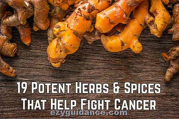 19 Potentiella örter och kryddor som hjälper till att bekämpa cancer