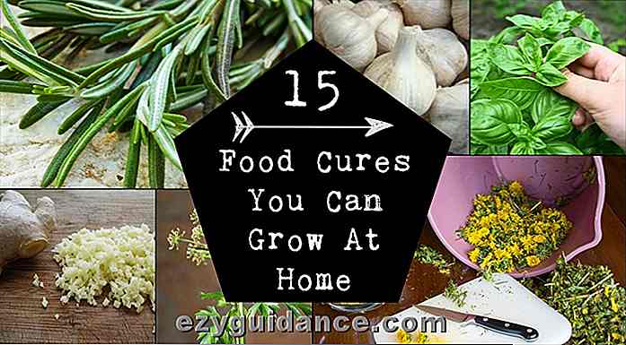 15 Mat Cures Du kan växa hemma