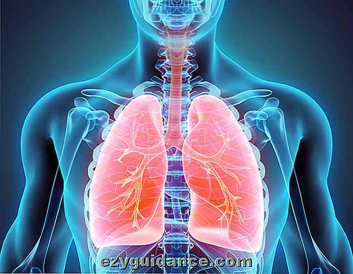 12 Dinge, die Sie tun können, um Ihre Lungengesundheit heute zu verbessern
