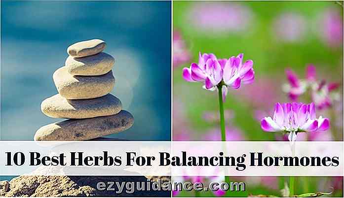 10 mejores hierbas para equilibrar las hormonas