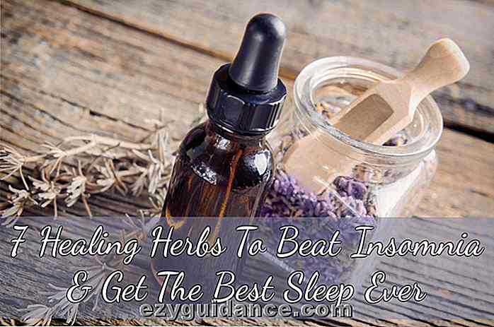 7 Healing Herbs gegen Schlaflosigkeit und den besten Schlaf aller Zeiten
