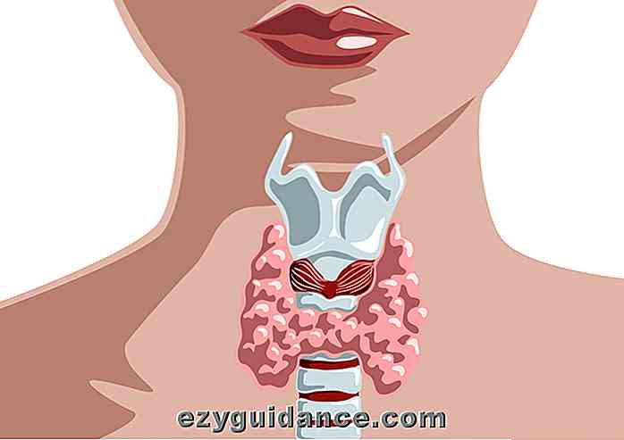 Top 10 des moyens de guérir les problèmes de thyroïde naturellement