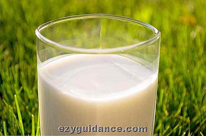 Leche cruda vs leche pasteurizada: ¿cuál es más saludable?