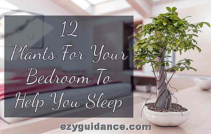 12 växter för ditt sovrum för att hjälpa dig att sova