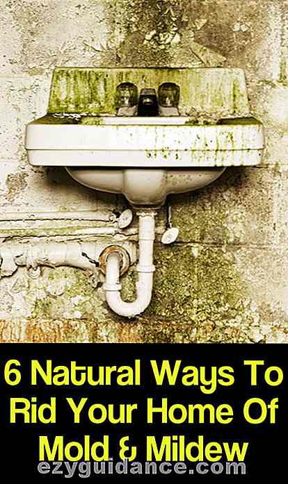 6 façons naturelles de débarrasser votre maison de la moisissure et de la moisissure